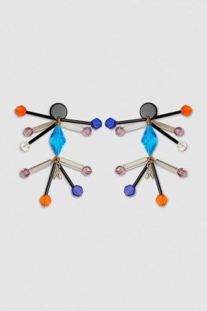 Multicolor Patrizia Pepe Earrings With Techno Pop Fly Appliqué | FBYJLHZ-97