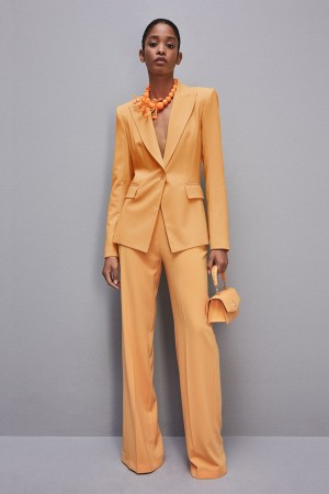 Orange Patrizia Pepe One-button Jacket In Sablè Crepe Fabric | PZGIAJK-37