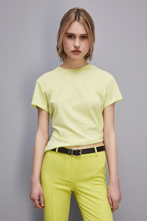 Yellow Patrizia Pepe Short-sleeved T-shirt With Logo In Organic Cotton | GOWZHVA-37