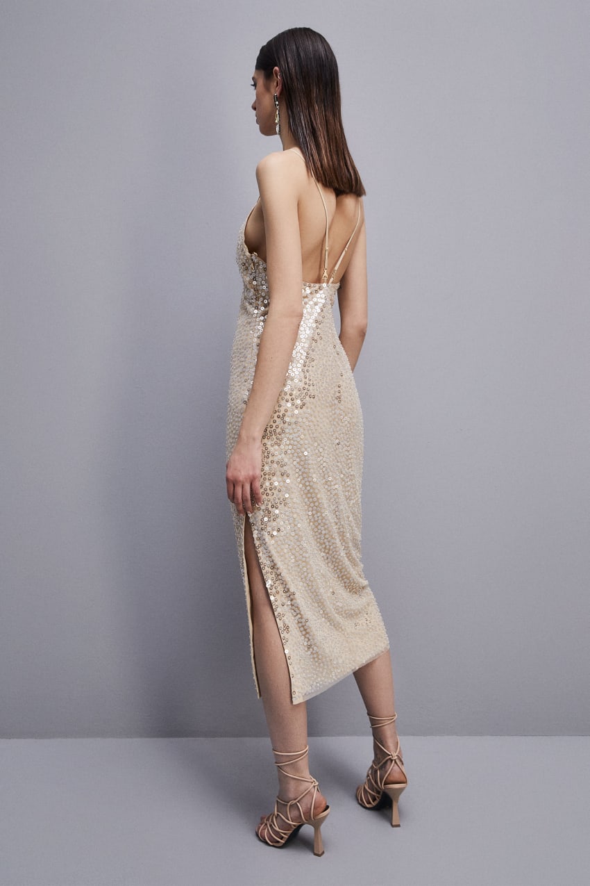 Beige Patrizia Pepe Hand-embroidered Tulle Dress | HQDZVBP-25